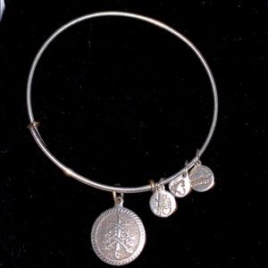 Alex and Ani 7 Swords
